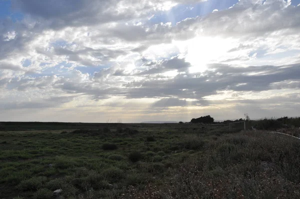 Bela Paisagem Natural Wetland Limassol Salt Lake Chipre — Fotografia de Stock