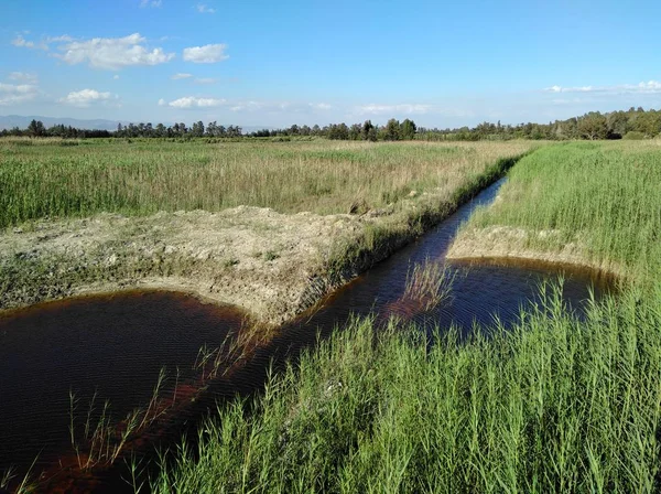 Belle Zone Humide Naturelle Limassol Salt Lake Paysage Chypre — Photo