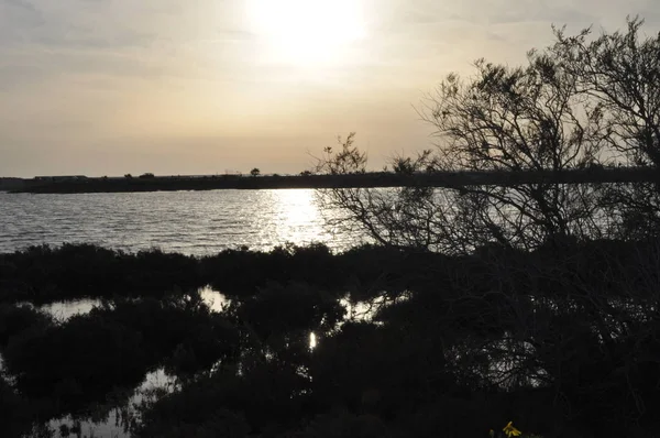 Beautiful Natural Wetland Limassol Salt Lake Landscape Cyprus — Stock Photo, Image