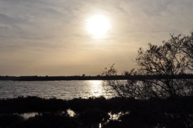 Kıbrıs'ta güzel doğal Sulak Limasol Tuz Gölü manzara