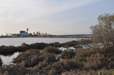 Kıbrıs'ta güzel doğal Sulak Limasol Tuz Gölü manzara