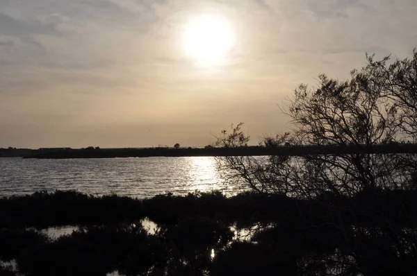 Piękne Naturalne Wetland Limassol Salt Lake Krajobrazu Cyprze — Zdjęcie stockowe