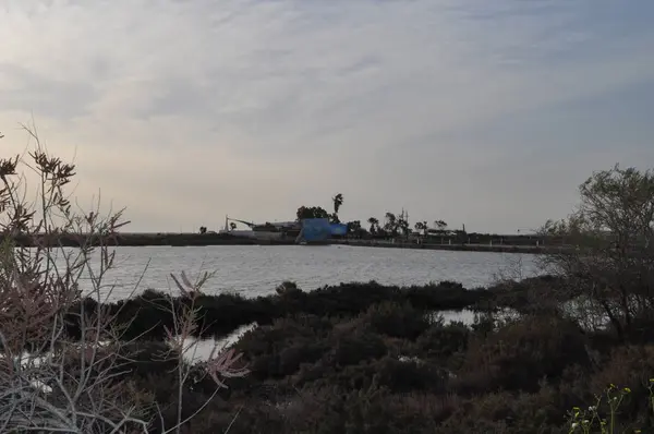 Nádherné Přírodní Jezero Wetland Limassol Kypru — Stock fotografie