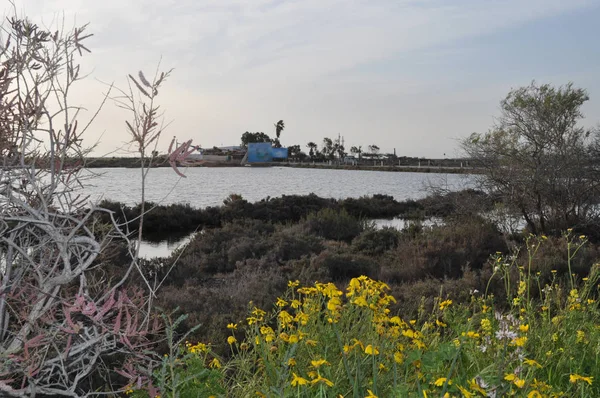 Kıbrıs'ta güzel doğal Sulak Limasol Tuz Gölü manzara