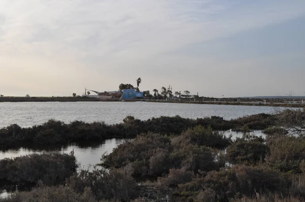 Kıbrıs'ta güzel doğal Sulak Limasol Tuz Gölü manzara