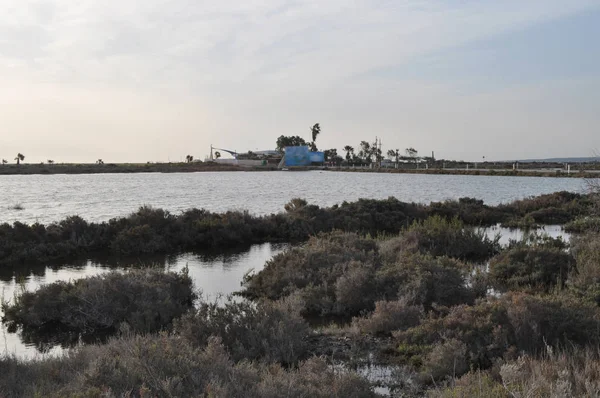 Красиві Природні Водно Болотних Угідь Лімасол Солт Лейк Пейзаж Кіпрі — стокове фото