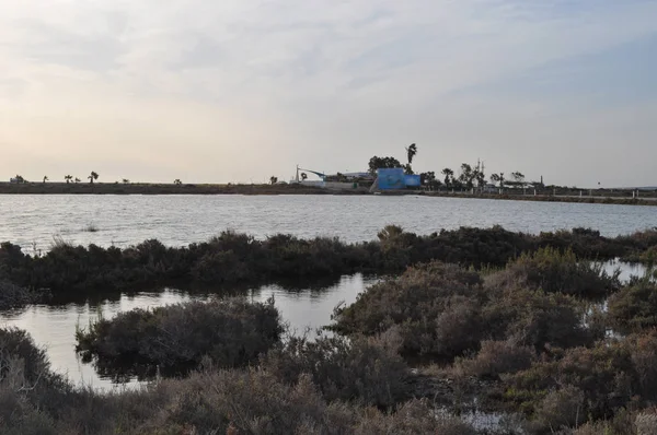 Kıbrıs'ta güzel doğal Sulak Limasol Tuz Gölü manzara