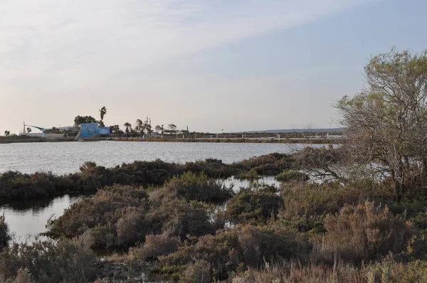 Kıbrıs'ta güzel doğal Sulak Limasol Tuz Gölü manzara
