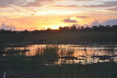 Kıbrıs'ta güzel doğal Sulak Limasol Tuz Gölü manzara