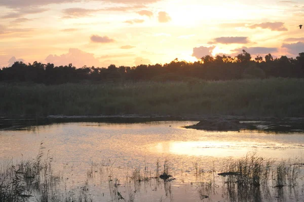 Kıbrıs'ta güzel doğal Sulak Limasol Tuz Gölü manzara