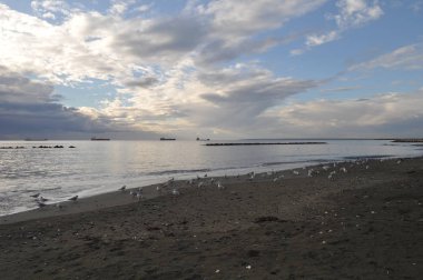 Güzel doğal deniz manzarası