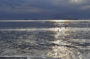 Güzel doğal deniz manzarası