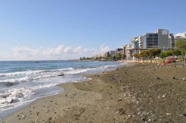 Çevredeki güzel kuş güvercini