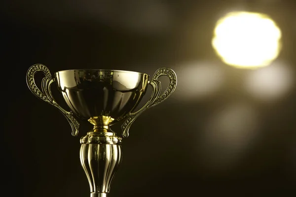 Low Key Trophy Black Background — Stock Photo, Image