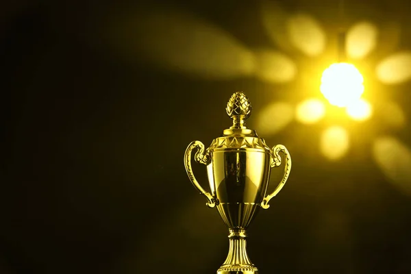 Low Key Trophy Dark Background — Stock Photo, Image