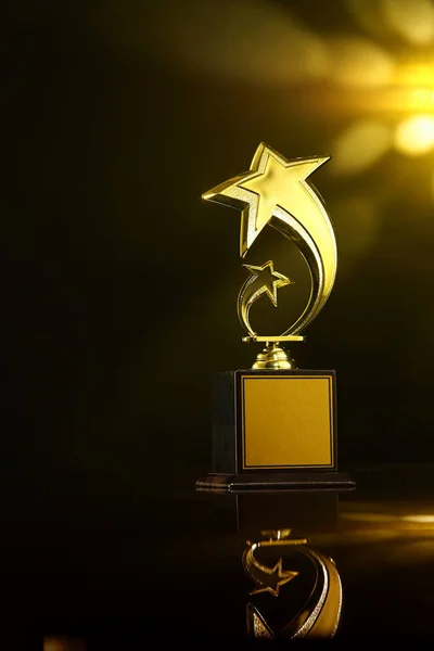 Low Key Trophy Dark Background — Stock Photo, Image