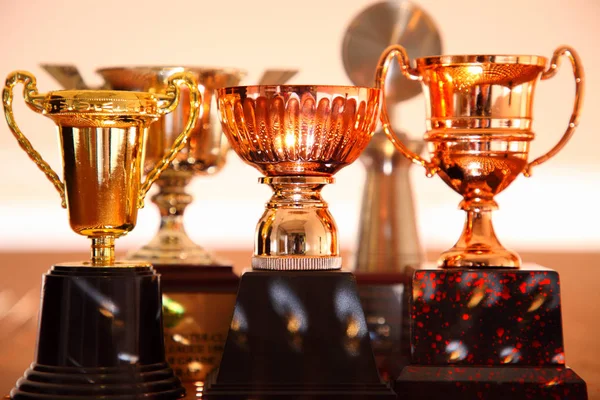 Winner Trophy Pegboard Light Effect — Stock Photo, Image