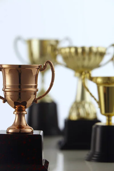 Grupo Troféus Sobre Fundo Branco — Fotografia de Stock