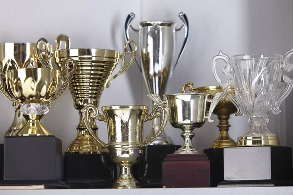 Group Trophy Displayed Shelf — Stock Photo, Image