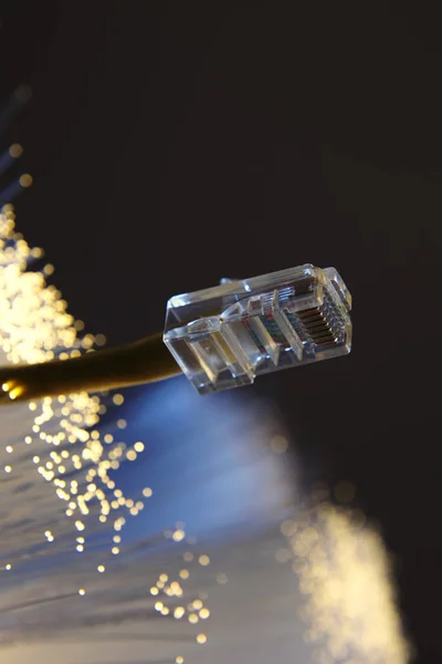 Network Cable Fibre Optic Close — Stock Photo, Image