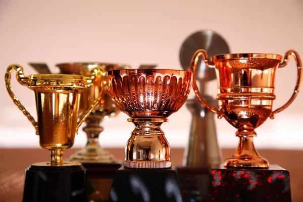 Winner Trophy Pegboard Light Effect — Stock Photo, Image