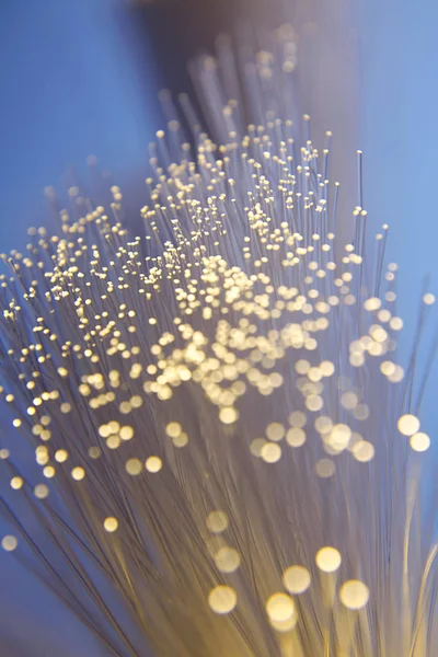 Optických Kabelů Pro Telekomunikace Zblízka — Stock fotografie