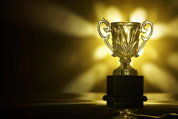 Low Key Trophy Black Background — Stock Photo, Image