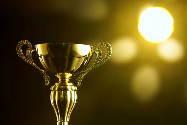 Low Key Trophy Black Background — Stock Photo, Image