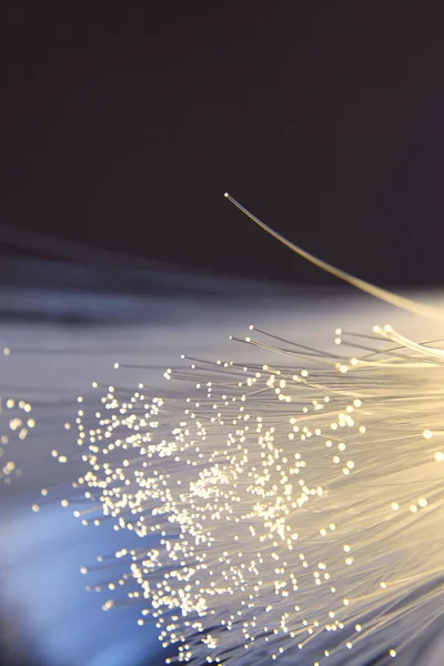 Fiber Optik için telekomünikasyon, yakın çekim