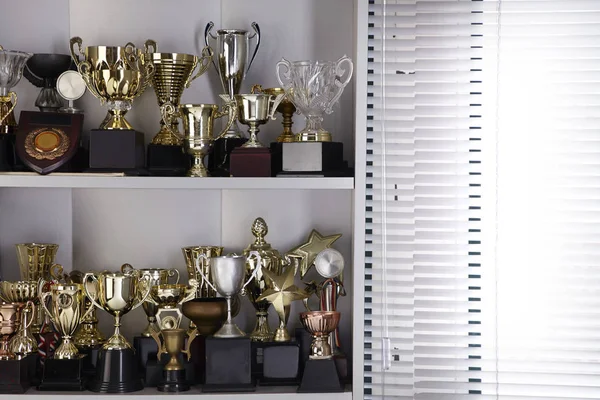 Grupo Troféu Exibido Prateleira — Fotografia de Stock