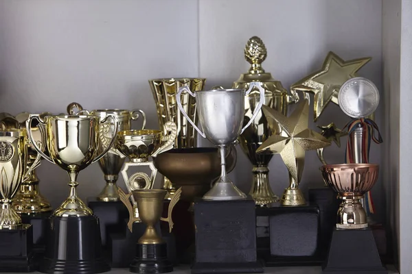 Group Trophy Displayed Shelf — Stock Photo, Image