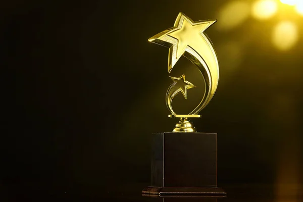 Low Key Trophy Dark Background — Stock Photo, Image