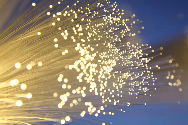 Fibre Optic Telecommunication Close — Stock Photo, Image