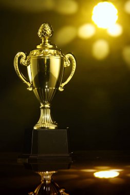 Kupa koyu arka plan üzerinde düşük anahtar