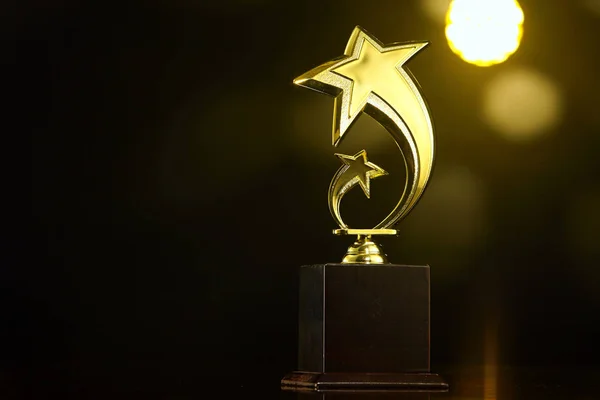 Low Key Trophy Dark Background — Stock Photo, Image