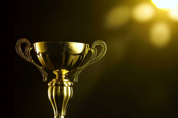 Low Key Trophy Black Background — Stock Photo, Image