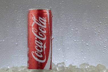 Kuala lumpur Malezya-14 Şubat 2017 editoryal fotoğraf buzlu bir dondurucuda klasik Coca-Cola olabilir. Coca-Cola Company en popüler pazar lideridir