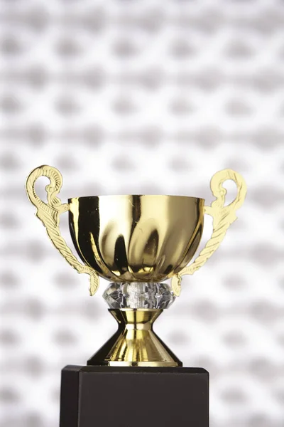 Close Van Gouden Trofee — Stockfoto