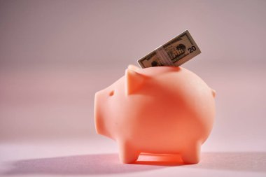 Pembe domuz kumbarası. Pembe arka planda yirmilik banknotla izole edilmiş.                               