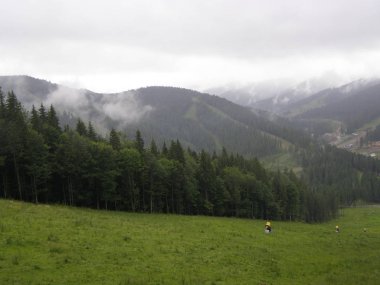 Karpatlar Bukovel yeşil yamaçlarında