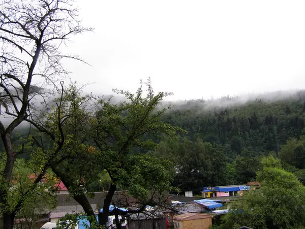 Los Cárpatos Niebla Las Montañas Verde —  Fotos de Stock