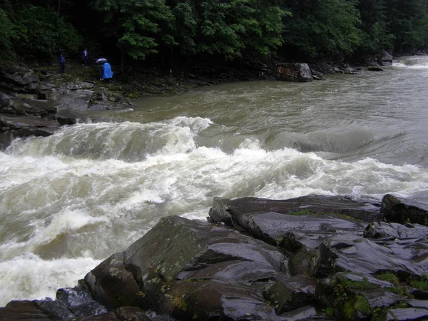 Río Áspero Los Cárpatos Las Laderas Las Rocas — Foto de Stock