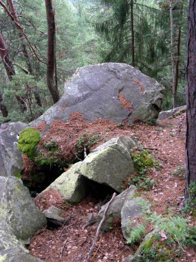 Büyük taş ve Ladin Karpatlar ormanında yolda