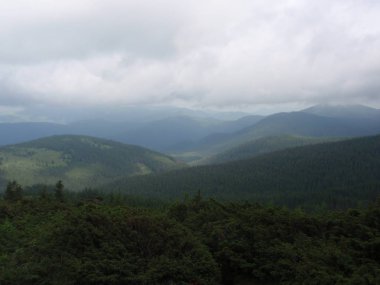 Dağlar ve Karpatlar Hoverla üst kısmında siste yeşil tepeler
