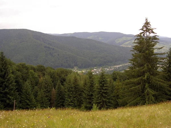 Vacker Utsikt Över Karpaterna Från Berget — Stockfoto