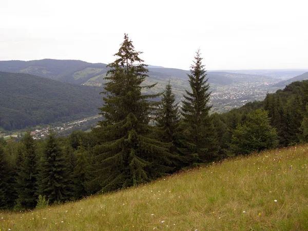 Piękny Widok Karpaty Góry — Zdjęcie stockowe