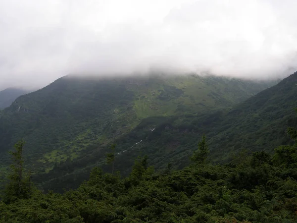 Dağlar Karpatlar Hoverla Üst Kısmında Siste Yeşil Tepeler — Stok fotoğraf