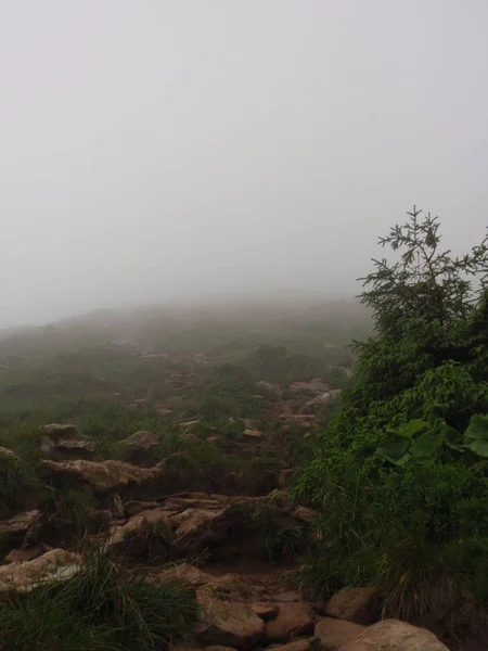 Montañas Verdes Colinas Niebla Cima Hoverla Los Cárpatos —  Fotos de Stock