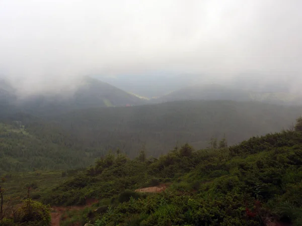 Berge Und Grüne Hügel Nebel Auf Dem Gipfel Des Hoverla — Stockfoto