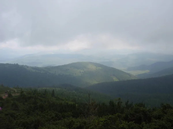 Montañas Verdes Colinas Niebla Cima Hoverla Los Cárpatos —  Fotos de Stock